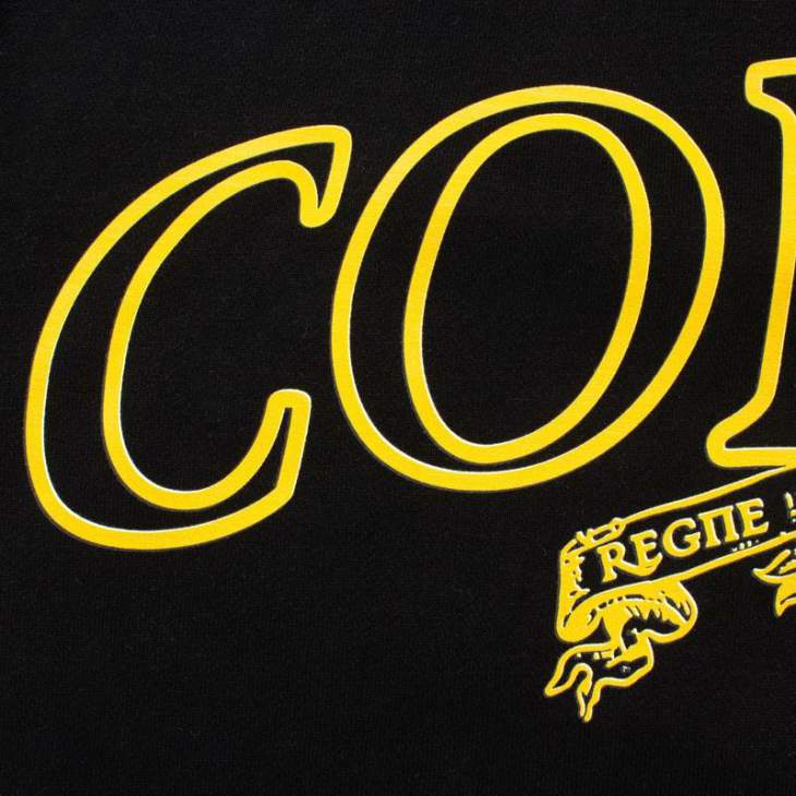Corteiz Hoodies _SKUCorteizM-2XLcztx94292259
